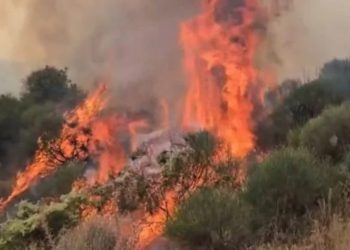 18 zjarre aktive në 24 orët e fundit/ Flakët vazhdojnë në 6 qarqe, situata e vështirë në Finiq