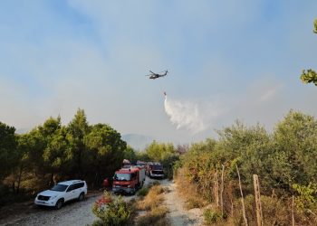 19 vatra zjarri të reja në orët e fundit/ Tre janë aktive, flakët vazhdojnë në Finiq, Mallakastër dhe Mirditë