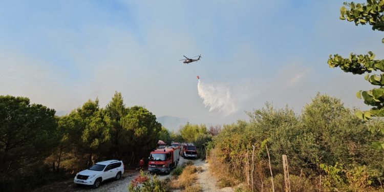 19 vatra zjarri të reja në orët e fundit/ Tre janë aktive, flakët vazhdojnë në Finiq, Mallakastër dhe Mirditë