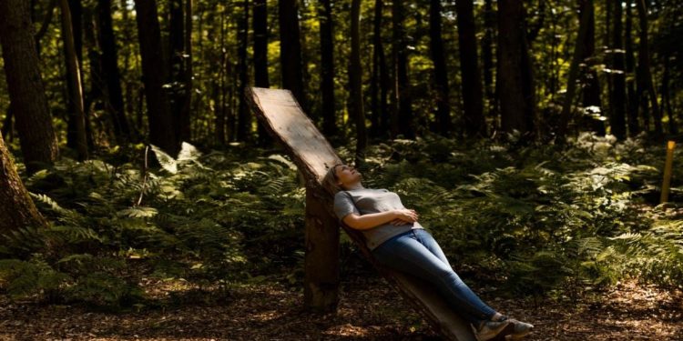 20:45
Terapia e natyrës që po transformon përvojën tonë të relaksimit jashtë!
Në një epokë ku stresi kronik është bërë i zakonshëm dhe teknologjia na ndjek kudo, një traditë e lashtë japoneze po fiton popullaritet si një nga trendet më të rëndësishme të mirëqenies në nivel global: "Shinrin-Yoku" ose “Banjat në Natyrë”.