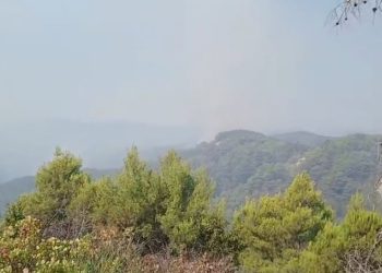 21 vatra zjarri në 24 orët e fundit/ Flakët vazhdojnë në Vlorë, Fier dhe Berat