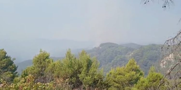 21 vatra zjarri në 24 orët e fundit/ Flakët vazhdojnë në Vlorë, Fier dhe Berat