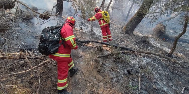 21 vatra zjarri shpërthyen në vend gjatë orëve të fundit, Çekia dërgon helikopterin Black Hawk në Kuçovë.
