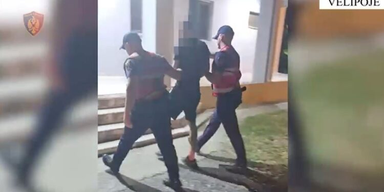 22-vjeçari, nën 'arrest shtëpie', kapet duke shitur drogë në Velipojë me armë në makinë
