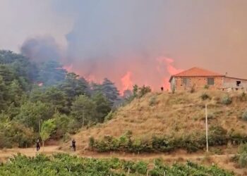 29 ndezje aktive në territor/ Flakët vazhdojnë në Sytë e Kaltër, 7 helikopterë dhe një avion Canadair angazhohen në zonat e rrezikshme