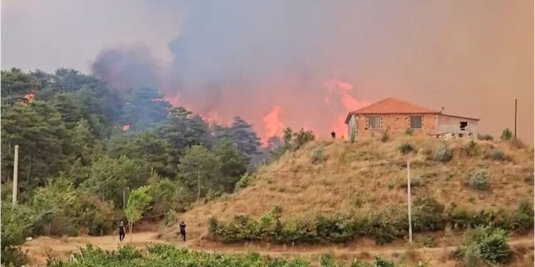 29 ndezje aktive në territor/ Flakët vazhdojnë në Sytë e Kaltër, 7 helikopterë dhe një avion Canadair angazhohen në zonat e rrezikshme