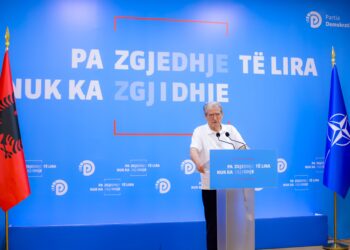 Berisha rreshton arsyet: Ja pse shkatërrimet nga zjarret këtë vit janë një krim i vërtetë shtetëror