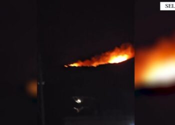 43-vjeçari në Selenicë arrestohet pas konfliktit me fqinjin dhe djegies së tokës me ullinj.