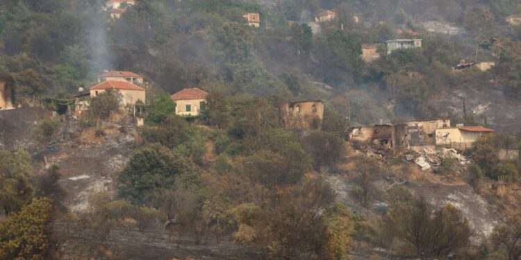 54 mijë hektarë tokë e djegur gjatë këtij vitit, sipërfaqja më e madhe që nga viti 2011