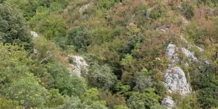 56-vjeçari nga Elbasani shpallet i humbur gjatë kërkimit të qenit që mbante bagëtitë, ja dyshimet e para