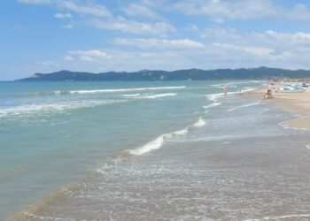 63-vjeçari humb jetën duke notuar në Gjirin e Lalëzit