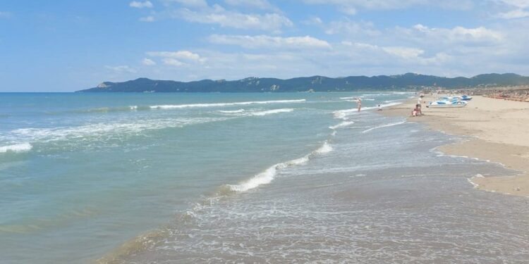 63-vjeçari humb jetën duke notuar në Gjirin e Lalëzit