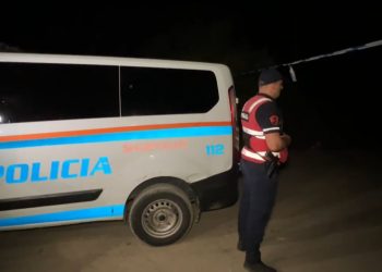 65-vjeçari qëndron i vrarë me armë zjarri në Vaun e Dejës/ Viktima, ish-anëtar i policisë, kishte një të kaluar të dënuar për vrasjen e kushëririt të tij.