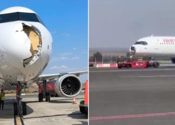 Aeroplani godet një zog, bënë ulje emergjente në Madrid