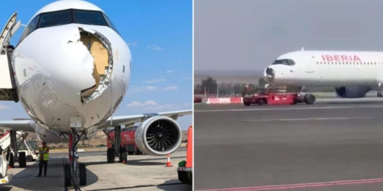 Aeroplani godet një zog, bënë ulje emergjente në Madrid