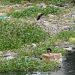 "Bota në krizë" / Raporti: 8 miliardë ton plastikë po ndotin planetin! Dëm shëndetësor prej 1.5 trilion dollarësh çdo vit, nga foshnjat deri te të moshuarit.