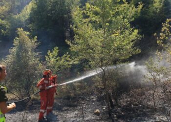 "Çfarë e ndalon Shqipërinë të blejë avionë zjarrfikës?" Rama reagon: Çfarë bëjnë vendet e rajonit që po djegin?