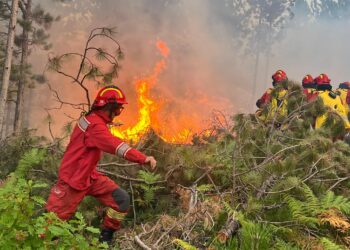 Dëmët nga zjarret, ministri Vengu shpjegon procesin e kompensimit për shtëpitë, bizneset dhe kultivimet bujqësore.