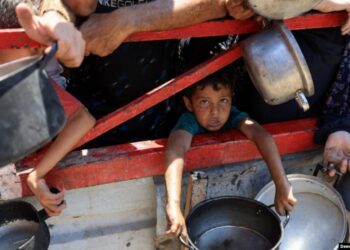 E trishtë, qyteti i Gazës shpall zyrtarisht zi për bukën!