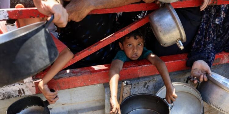 E trishtë, qyteti i Gazës shpall zyrtarisht zi për bukën!