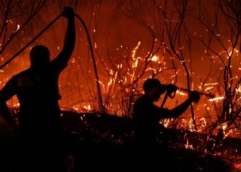 Ekstreme të nxehti në Europën Jugore! Zjarret përfshijnë Spanjën dhe Portugalinë.