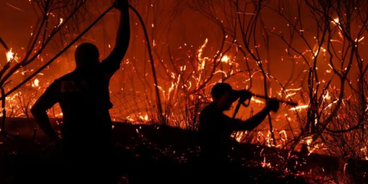 Ekstreme të nxehti në Europën Jugore! Zjarret përfshijnë Spanjën dhe Portugalinë.