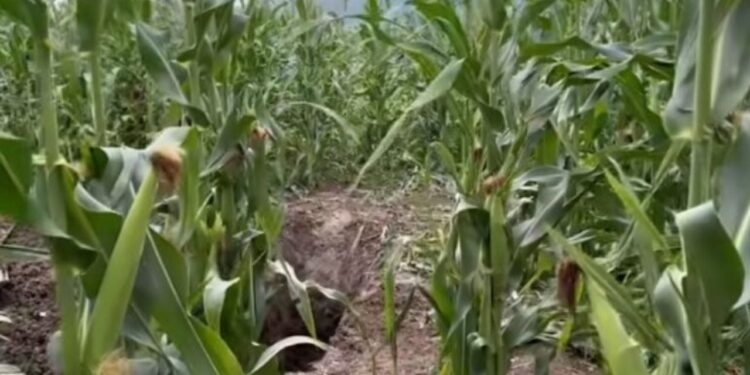 Enver Bajraktari i vrarë dhe i groposur në Lipjan, ndalohet i dyshuari për krimin