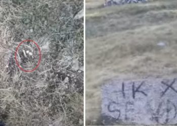 Farmeri nga Puka qëllohet me armë pranë shtëpisë: 'Unë po të vdes'