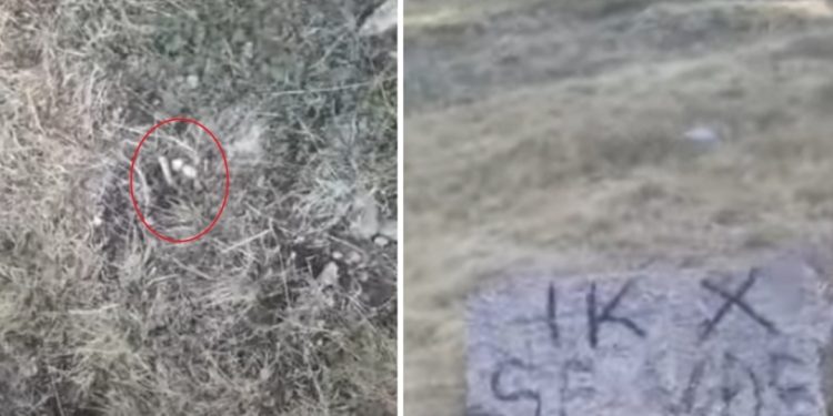 Farmeri nga Puka qëllohet me armë pranë shtëpisë: 'Unë po të vdes'