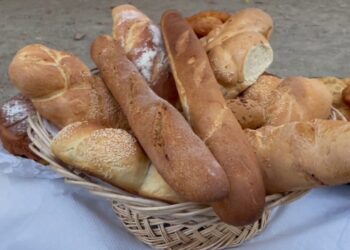 Festa e bukës në Maliq: Banorët shpërblejnë tokën pas korrjes duke ringjallur traditat e vjetra.