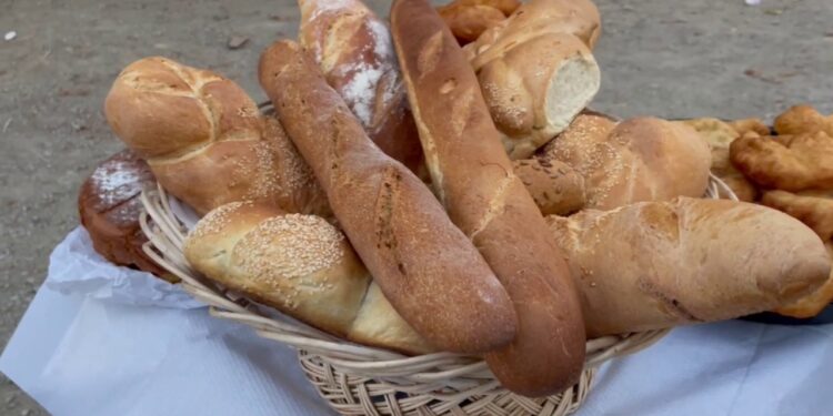 Festa e bukës në Maliq: Banorët shpërblejnë tokën pas korrjes duke ringjallur traditat e vjetra.