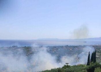 Flakët rrezikojnë Kalamatën në Greqi, banorët evakuohen

Një zjarr shpërtheu në zonën e Rizës, në Agriomata, Kalamatë, pak para orës 4 të pasdites. Zjarri nisi nga bar i thatë dhe u përhap shpejt.