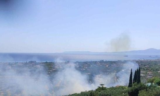 Flakët rrezikojnë Kalamatën në Greqi, banorët evakuohen
Një zjarr shpërtheu në zonën e Rizës, në Agriomata, Kalamatë, pak para orës 4 të pasdites. Zjarri nisi nga bar i thatë dhe u përhap shpejt.