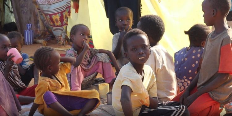 “Gaza e Afrikës”: Kriza e Urisë në Sudan, 900,000 Njerëz nën Rrethim, pa Mundësi për Ushqim dhe Ndihmë Mjekësore