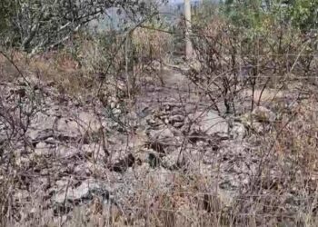 Gjashtë ditë përballje me zjarret, 60 kilometra katrorë tokë e shkatërruar në Finiq dhe Delvinë! Banorët kthehen në shtëpi, por vatrat e zjarrit po mbahen nën kontroll.