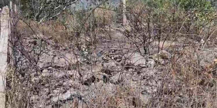 Gjashtë ditë përballje me zjarret, 60 kilometra katrorë tokë e shkatërruar në Finiq dhe Delvinë! Banorët kthehen në shtëpi, por vatrat e zjarrit po mbahen nën kontroll.