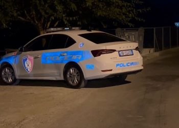 I gjetur i vrarë me armë zjarri një burrë në rrugë në Vaun e Dejës