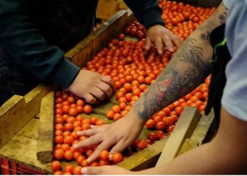 Tarifat e reja të Trump “shkundin botën”/ Rreagojnë bizneset në mbarë botën