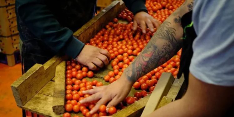 Tarifat e reja të Trump “shkundin botën”/ Rreagojnë bizneset në mbarë botën