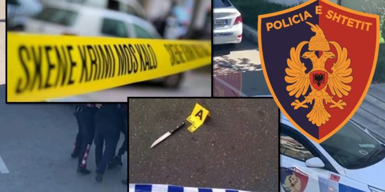 Zbardhen detaje nga plagosja në Maqellarë/ I riu goditi nënën e tij 7 herë me thikë, 50-vjeçarja ishte drejtoreshë shkolle, 26-vjeçari kishte mbaruar studimet e larta…