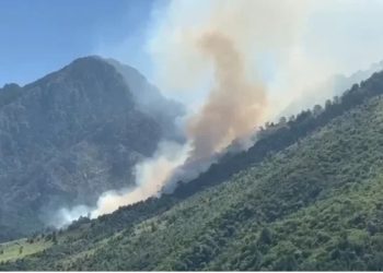 Zjarr në Delvinë/ Flakët favorizohen nga era e fortë, kërkohet ndërhyrje nga ajri