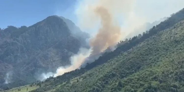 Zjarr në Delvinë/ Flakët favorizohen nga era e fortë, kërkohet ndërhyrje nga ajri
