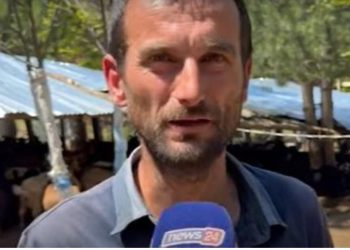 Incidenti në Munellë të Pukës/ Fermeri: Jemi të traumatizuar! U zgjuam me krisma armësh