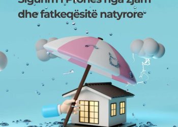 VIDEO/ Zjarret në Jug, rëndësia e sigurimeve dhe SIGAL si aleati i rikthimit në normalitet