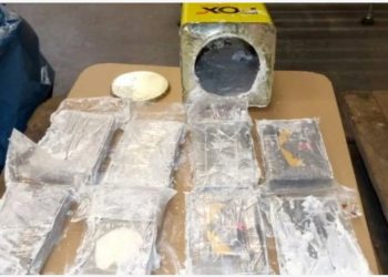 FOTO/ Grupi shqiptar trafikoi 16.4 tonë kokainë në Hamburg! Mediat europiane: Më e madhja ndonjëherë në rajonin tonë dhe ndër më gjigandet në gjithë botën