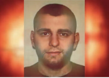 “Halli” i Franc Çopjas dhe Ervis Çelës për fshehjen e parave! Eurot e kokainës u groposën në rrënjët e ullinjve, bosi i Elbasanit e këshillonte: Do prishen në tokë..