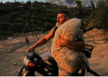 U bë viral teksa shpëtonte delen nga flakët/ 33-vjeçari shqiptar për mediat greke: Kam shpëtuar shumë kafshë! Çmendem me njerëzit që ikin dhe i lënë qentë të lidhur