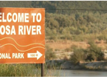 VIDEO/ Televizioni gjerman denoncon ndotjen alarmante në parkun kombëtar të lumit të Vjosës: Skandal mjedisor!