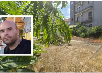 “Isha i hutuar, nuk doja ta bëja”/ Çfarë deklaroi Pandeli Nakoleci kur takoi vajzën 18-vjeçare në gjykatë, ndaj tij ngrihet akuza për vrasje