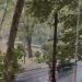 Ndryshimi i kushteve atmosferike, Tirana goditet nga stuhia, reshje shiu dhe erë e fortë